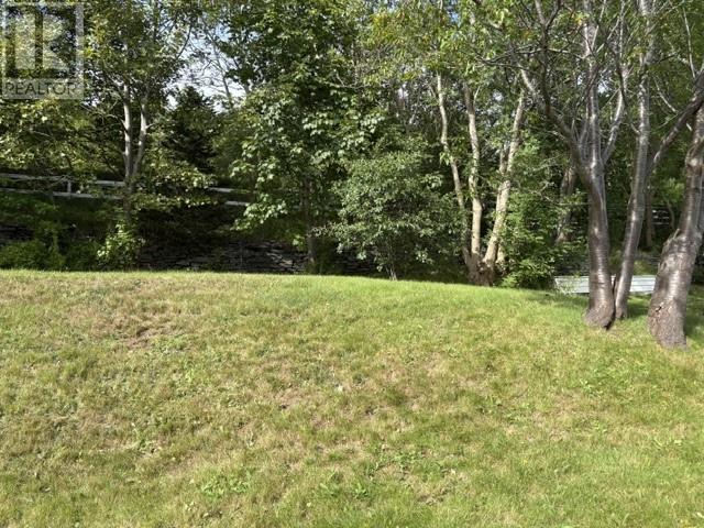 154 Harvey Street, Harbour Grace, Newfoundland & Labrador  A0A 2M0 - Photo 35 - 1303422