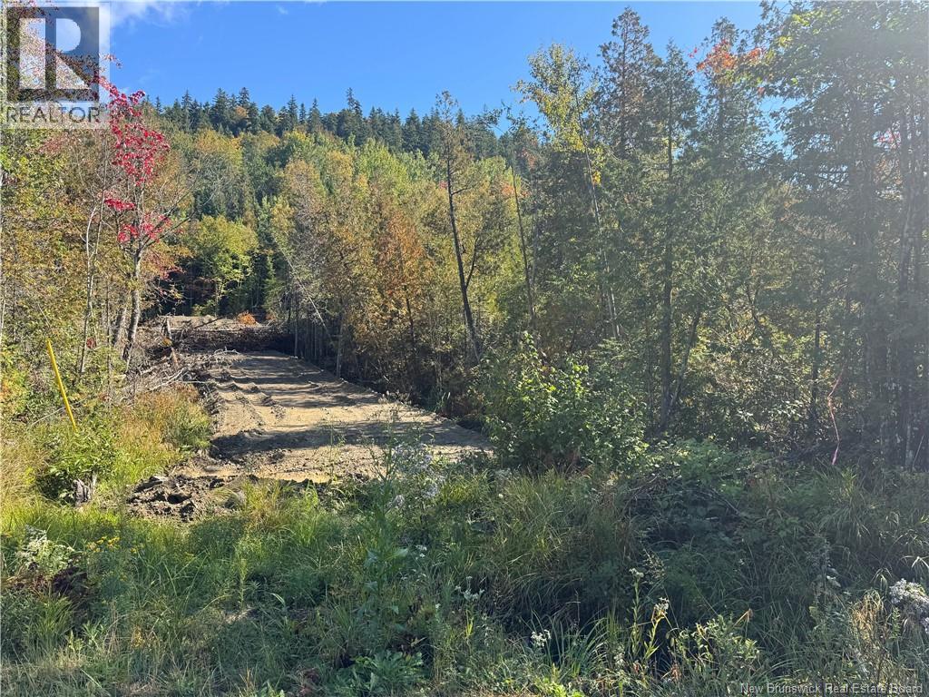 Frye Road, Chamcook, New Brunswick  E5B 0C4 - Photo 2 - NB148236