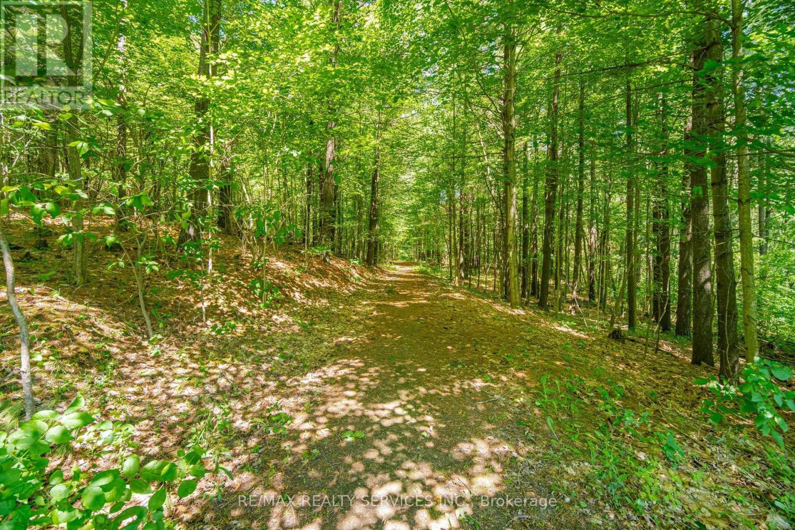 17711 Humber Station Road, Caledon, Ontario  L7E 3A7 - Photo 45 - W13808446