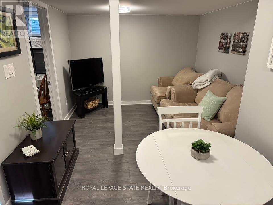 Basement - 348 Springbrook Avenue, Hamilton, Ontario  L9K 0K3 - Photo 6 - X13494116