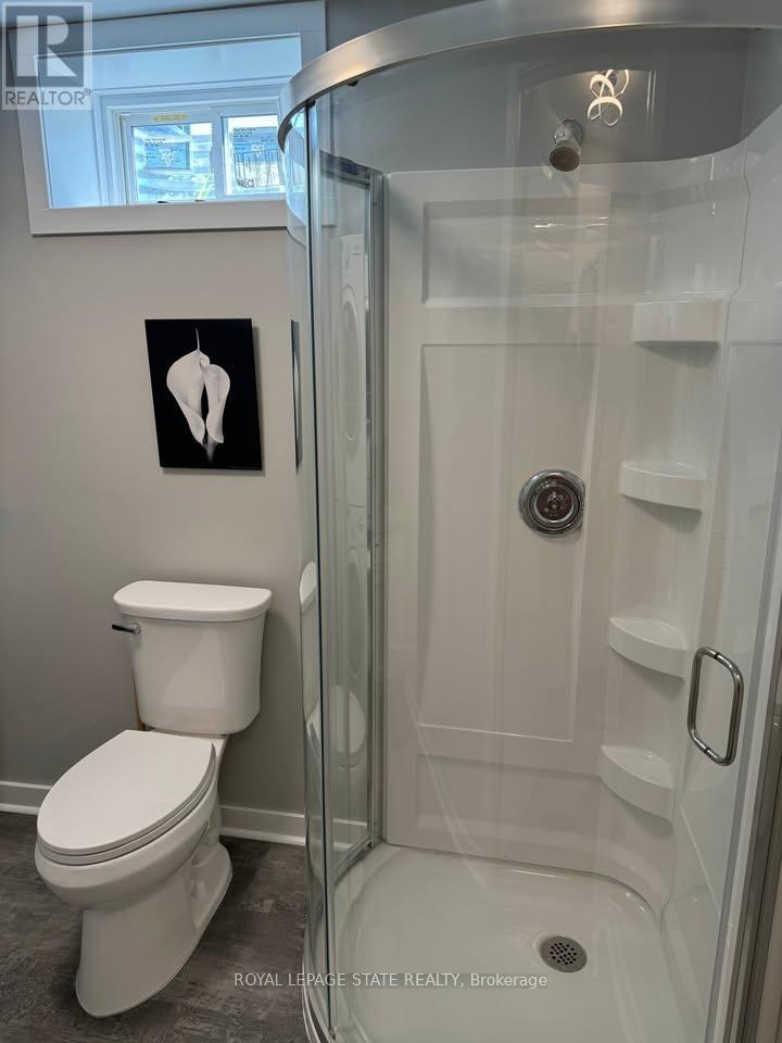 Basement - 348 Springbrook Avenue, Hamilton, Ontario  L9K 0K3 - Photo 7 - X13494116