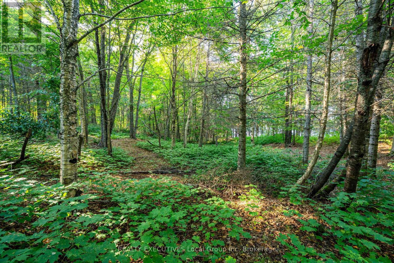 1010 Four Mile Lake Road, North Bay, Ontario  P1B 8G2 - Photo 16 - X13809030