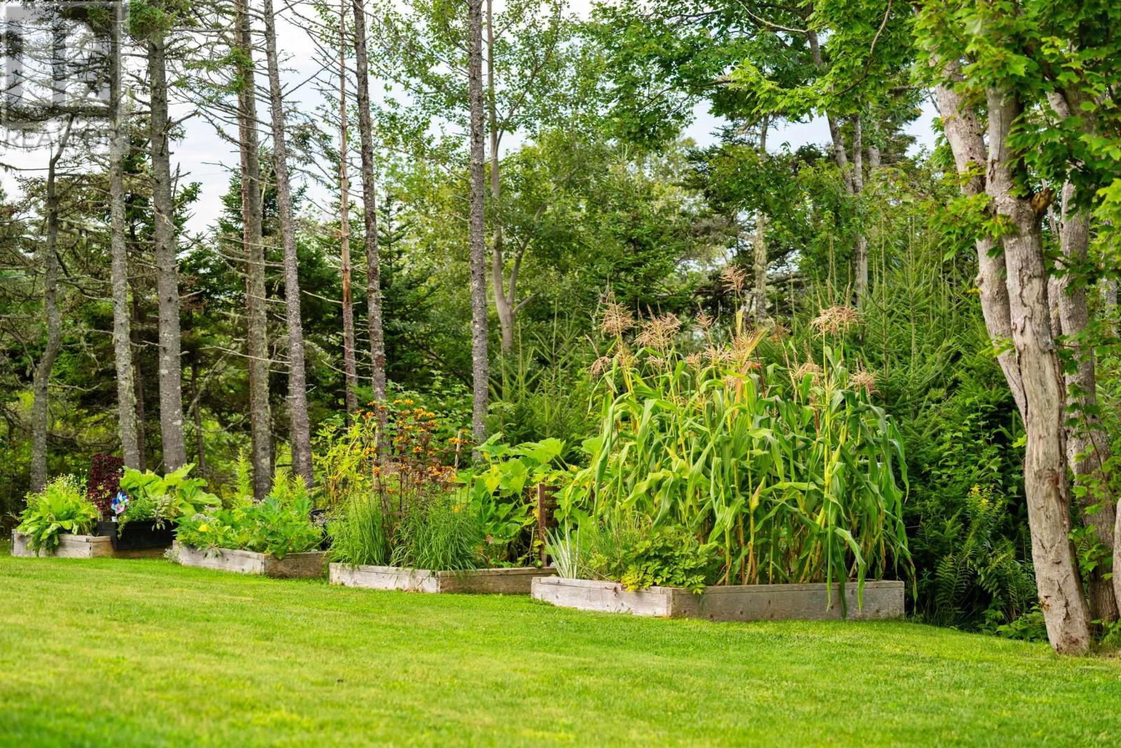 291 Seligs Road photo 32