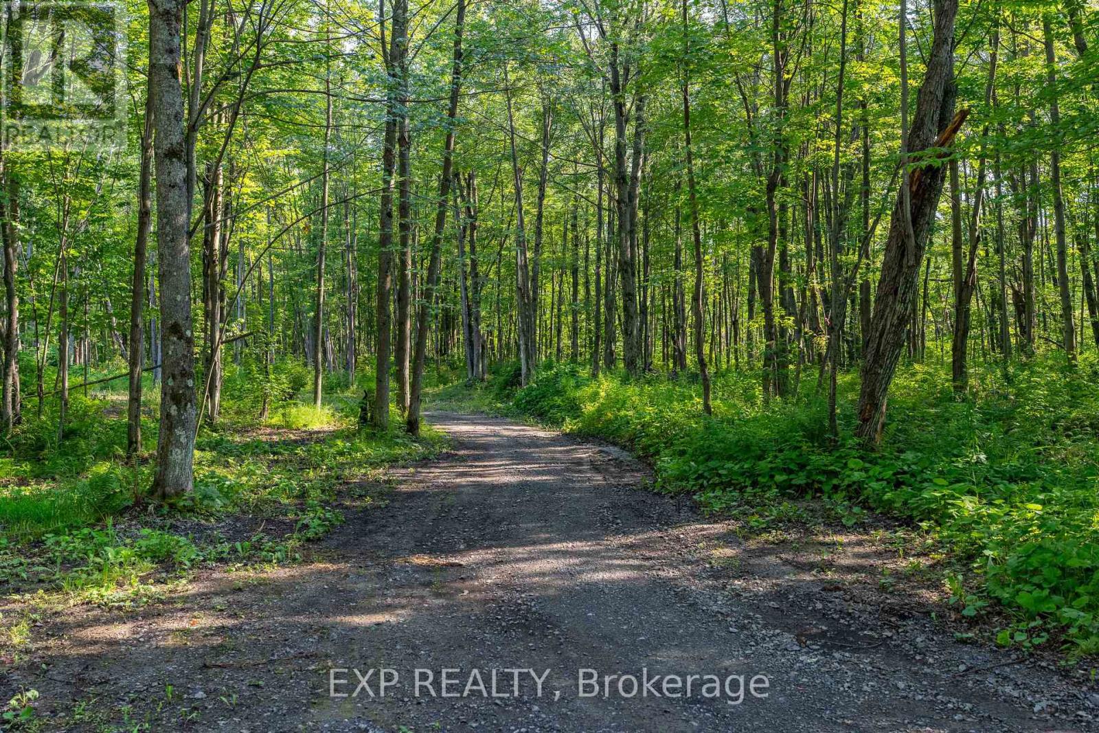 Lot 20 Concession 4 Road, Alfred And Plantagenet, Ontario  K0B 1L0 - Photo 2 - X13808748