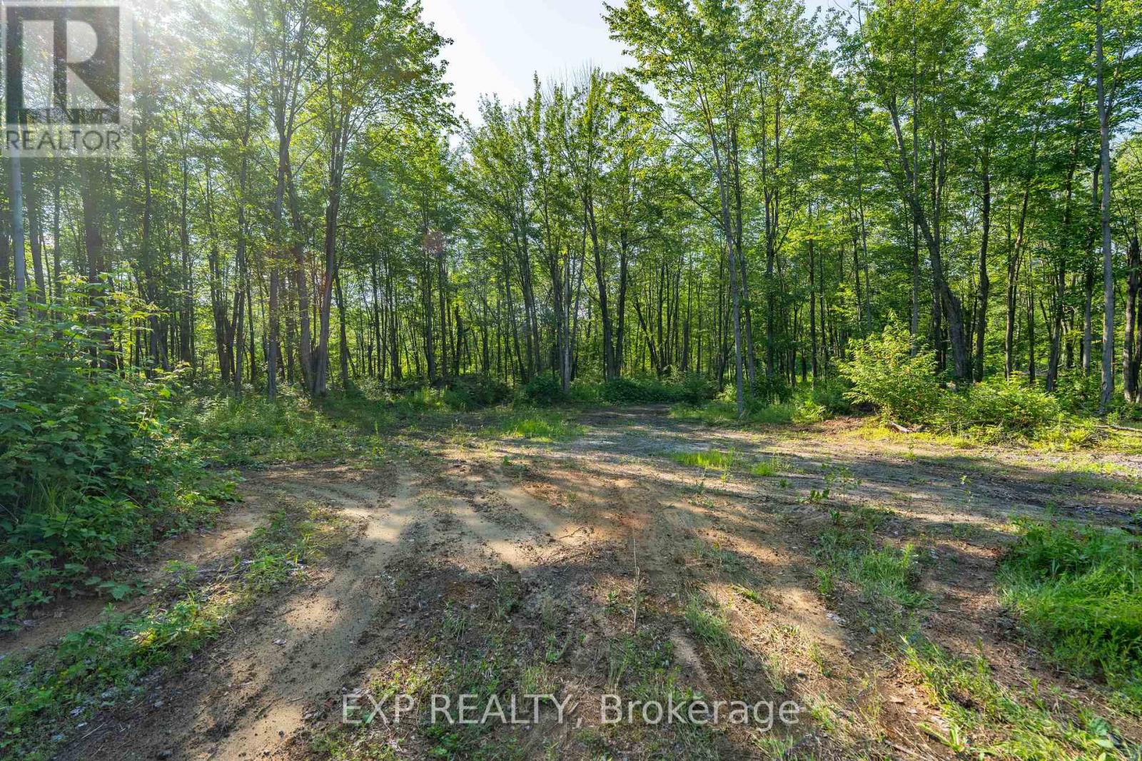 Lot 20 Concession 4 Road, Alfred And Plantagenet, Ontario  K0B 1L0 - Photo 3 - X13808748