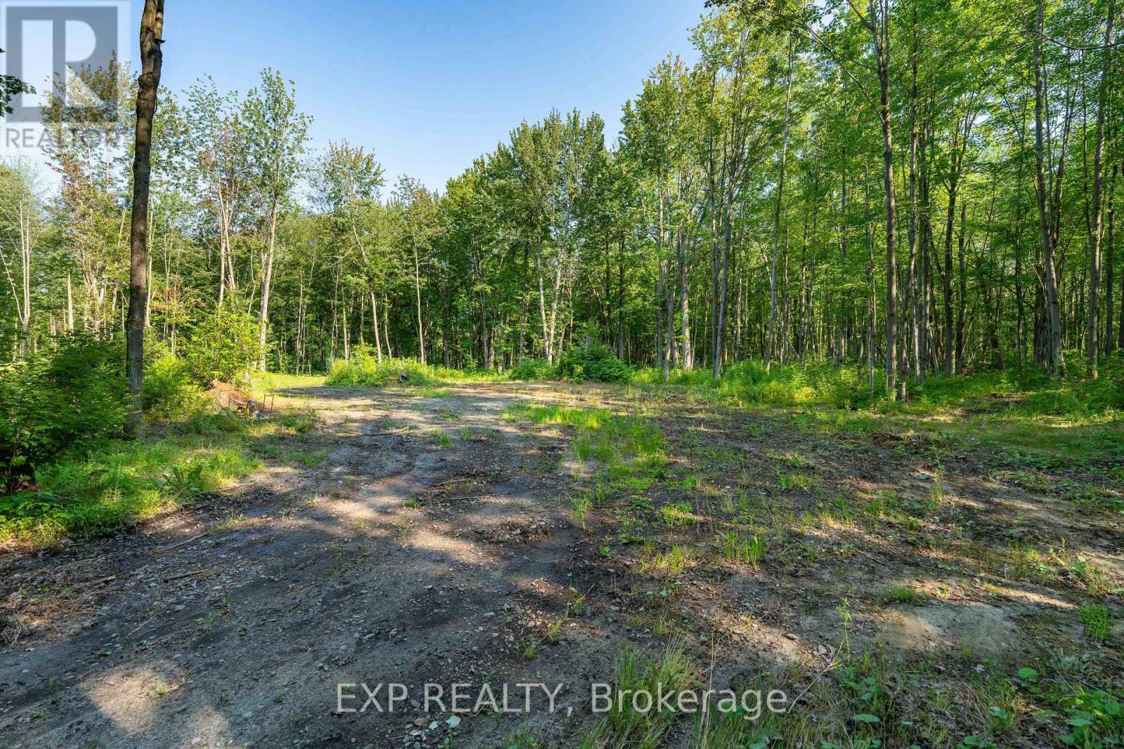 Lot 20 Concession 4 Road, Alfred And Plantagenet, Ontario  K0B 1L0 - Photo 4 - X13808748