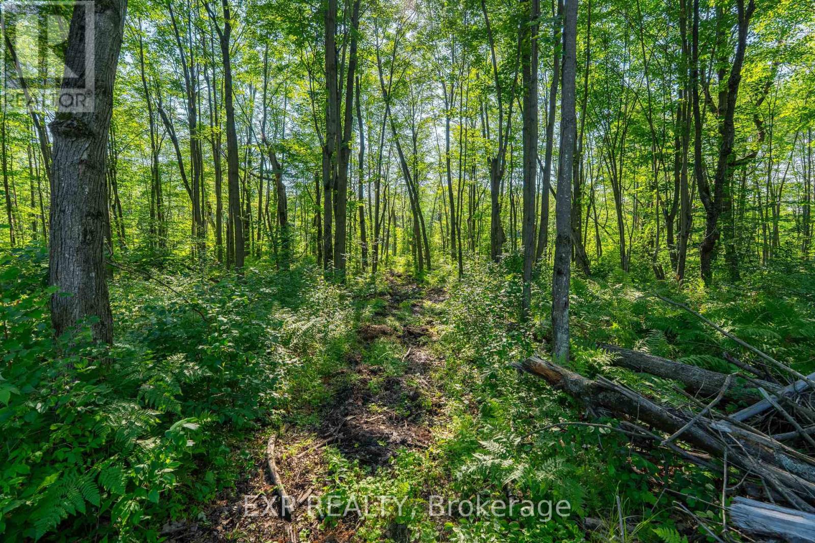 Lot 20 Concession 4 Road, Alfred And Plantagenet, Ontario  K0B 1L0 - Photo 5 - X13808748