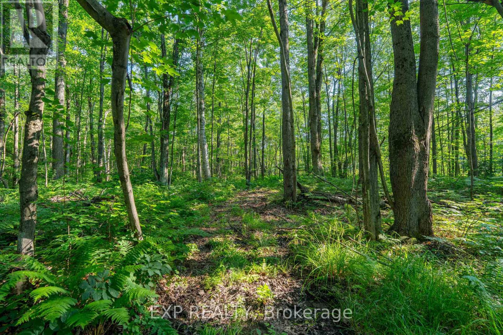 Lot 20 Concession 4 Road, Alfred And Plantagenet, Ontario  K0B 1L0 - Photo 6 - X13808748