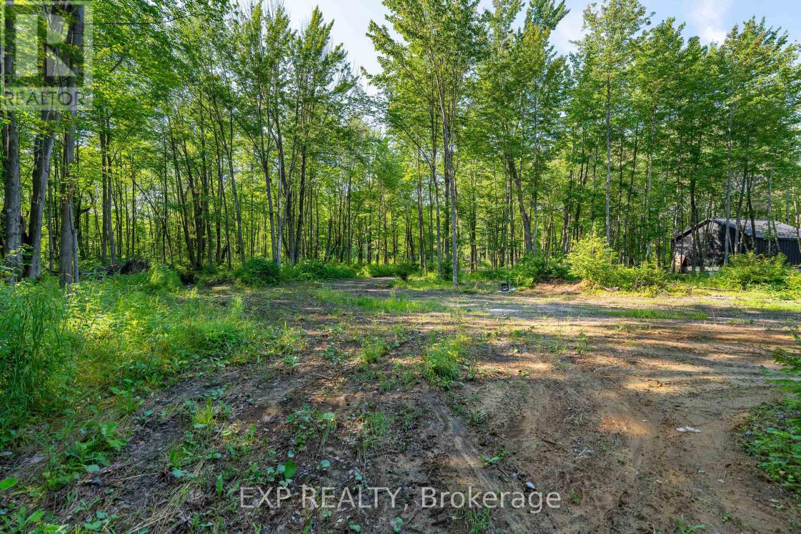 Lot 20 Concession 4 Road, Alfred And Plantagenet, Ontario  K0B 1L0 - Photo 7 - X13808748