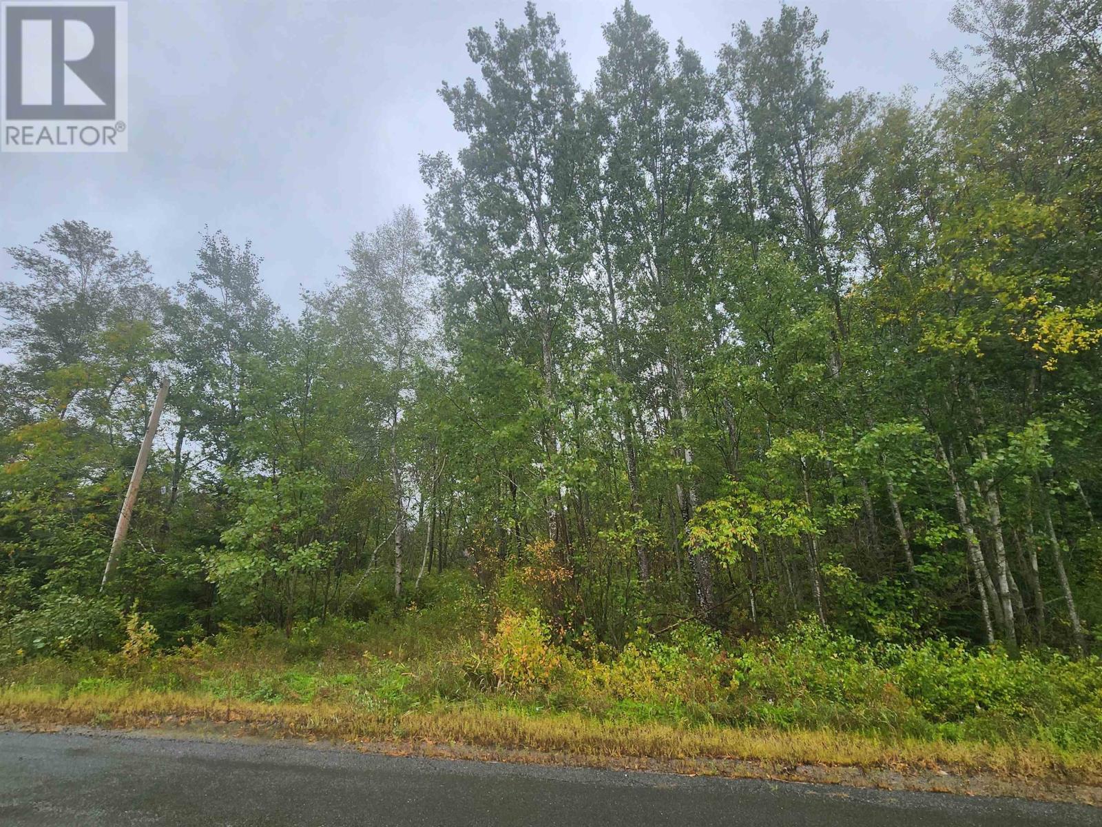43 Acres Findley Road, North Noel Road, Nova Scotia  B0N 1T0 - Photo 10 - 202623901