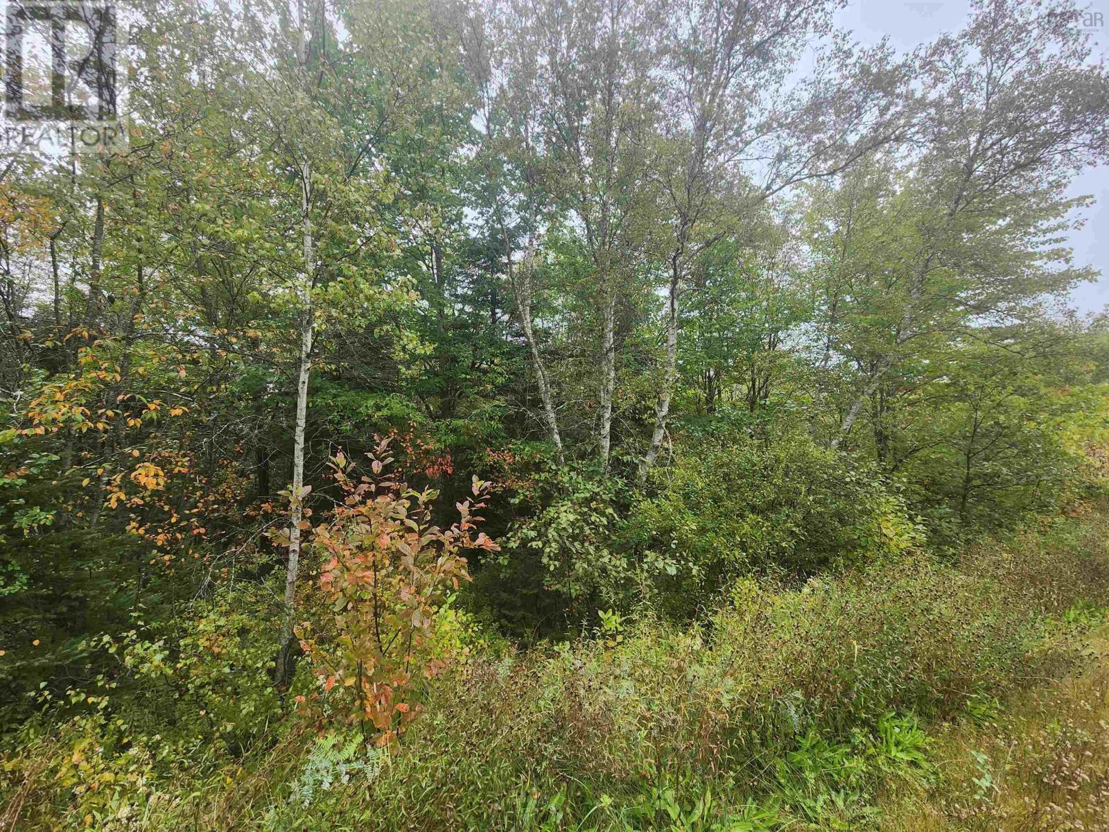 43 Acres Findley Road, North Noel Road, Nova Scotia  B0N 1T0 - Photo 7 - 202623901