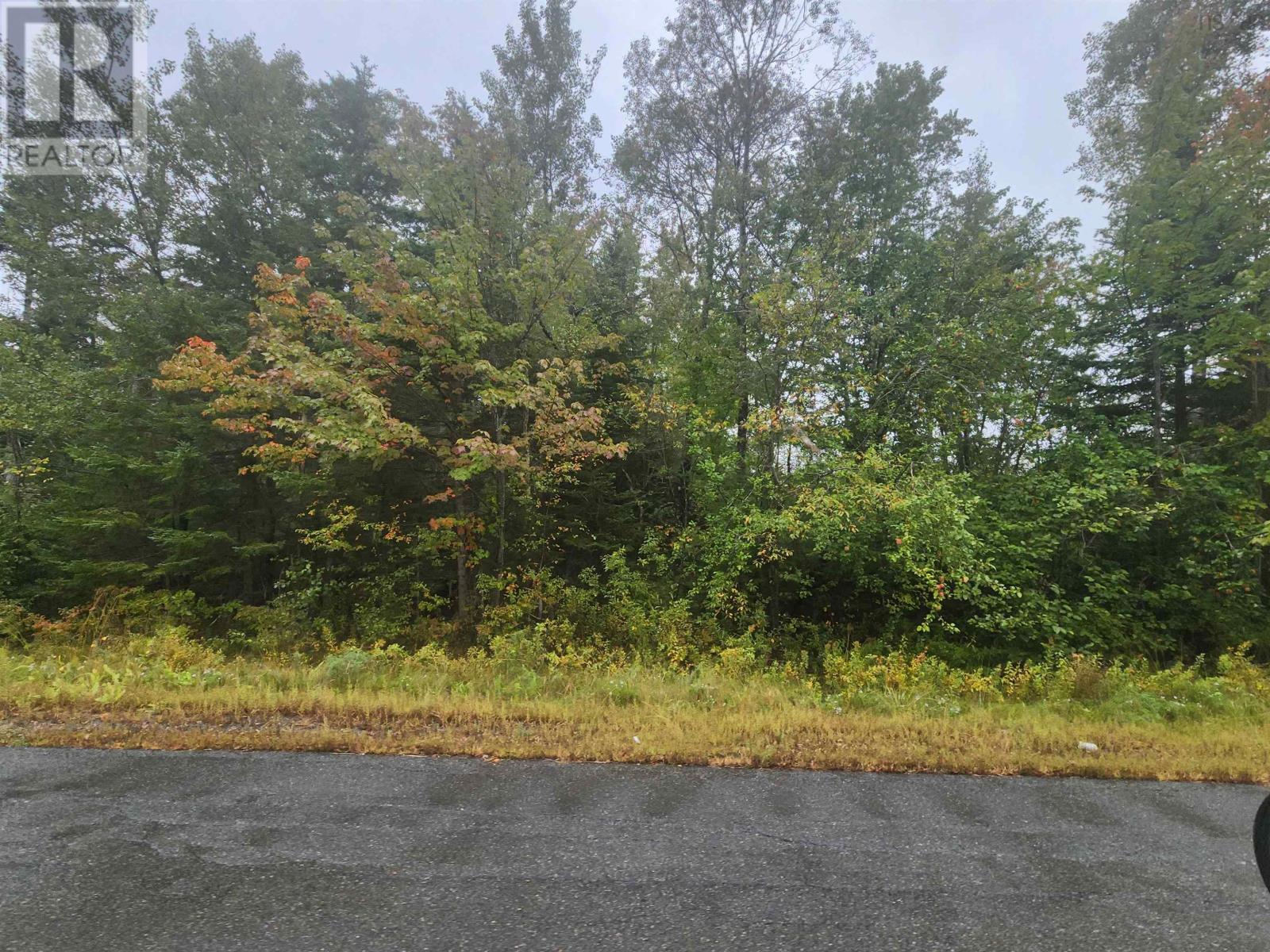 43 Acres Findley Road, North Noel Road, Nova Scotia  B0N 1T0 - Photo 9 - 202623901
