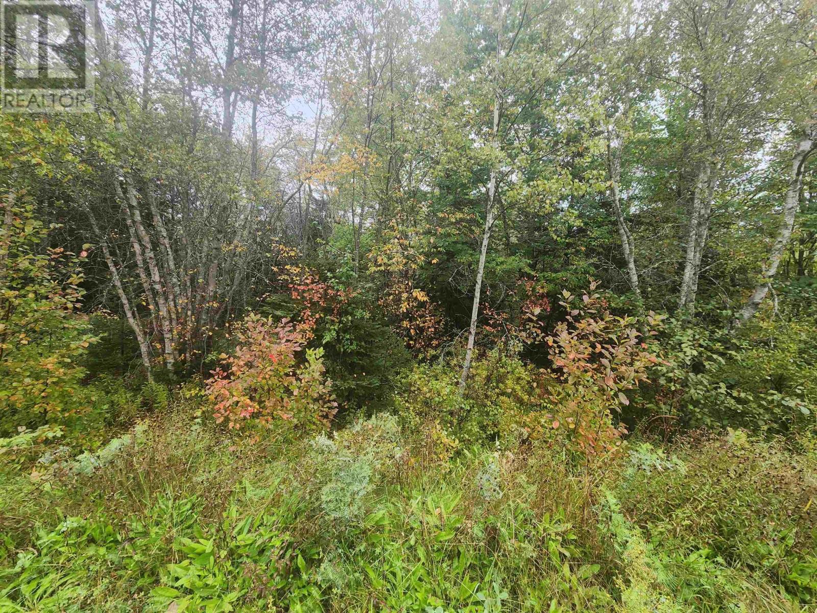 43 Acres Findley Road, North Noel Road, Nova Scotia  B0N 1T0 - Photo 8 - 202623901
