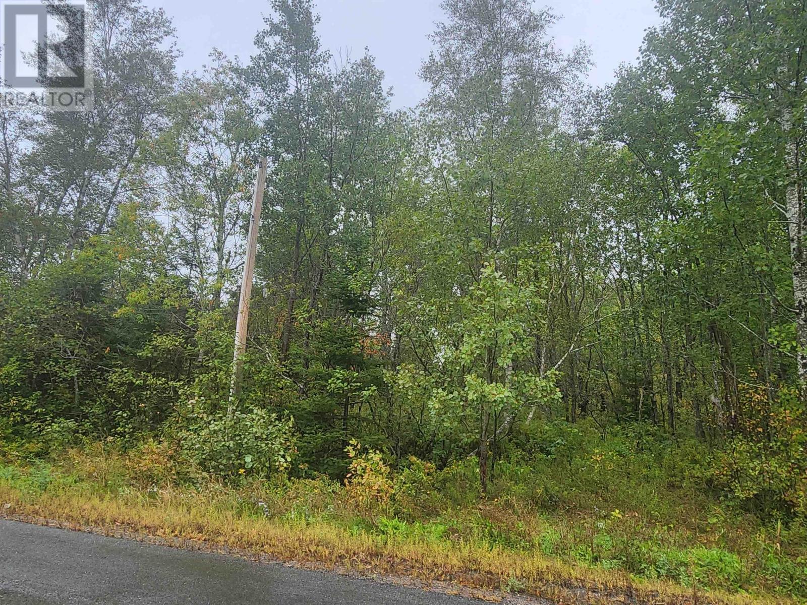 43 Acres Findley Road, North Noel Road, Nova Scotia  B0N 1T0 - Photo 4 - 202623901