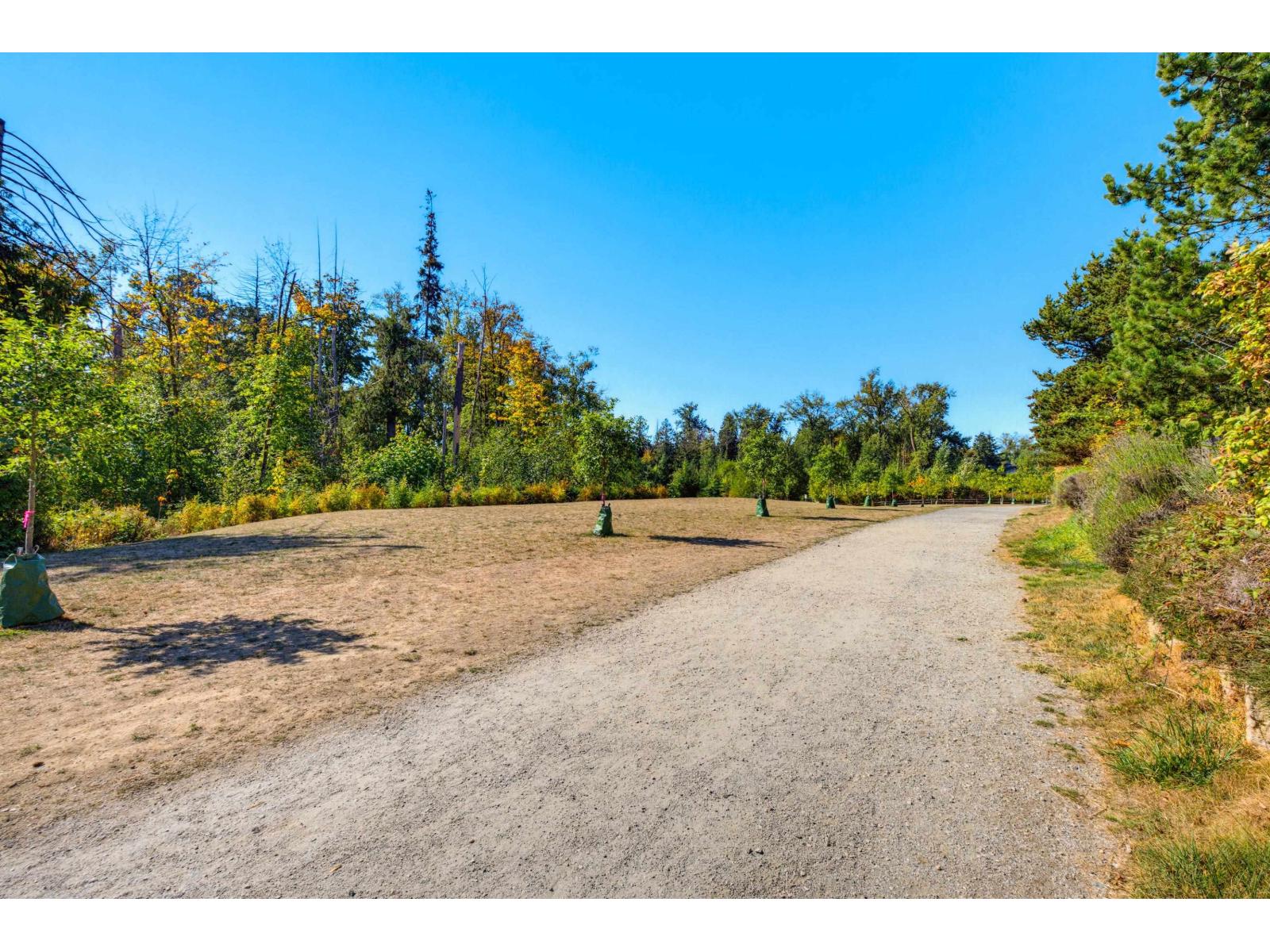 101 6500 194 Street, Surrey, British Columbia  V4N 5X4 - Photo 31 - R3165365