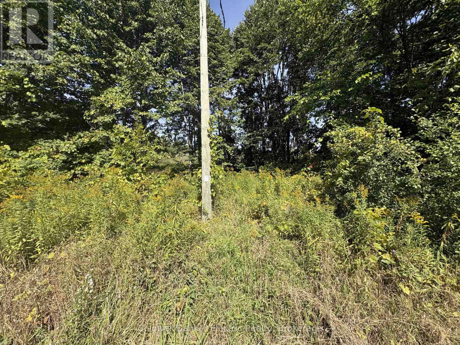 00 Ingham Road (Lot 2 - East), Alnwick/haldimand, Ontario  K0K 1C0 - Photo 1 - X13809330