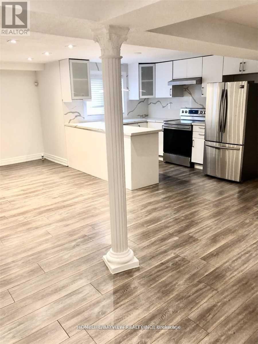 Bsmt - 117 Yorkland Street, Richmond Hill, Ontario  L4S 1C4 - Photo 4 - N13809486