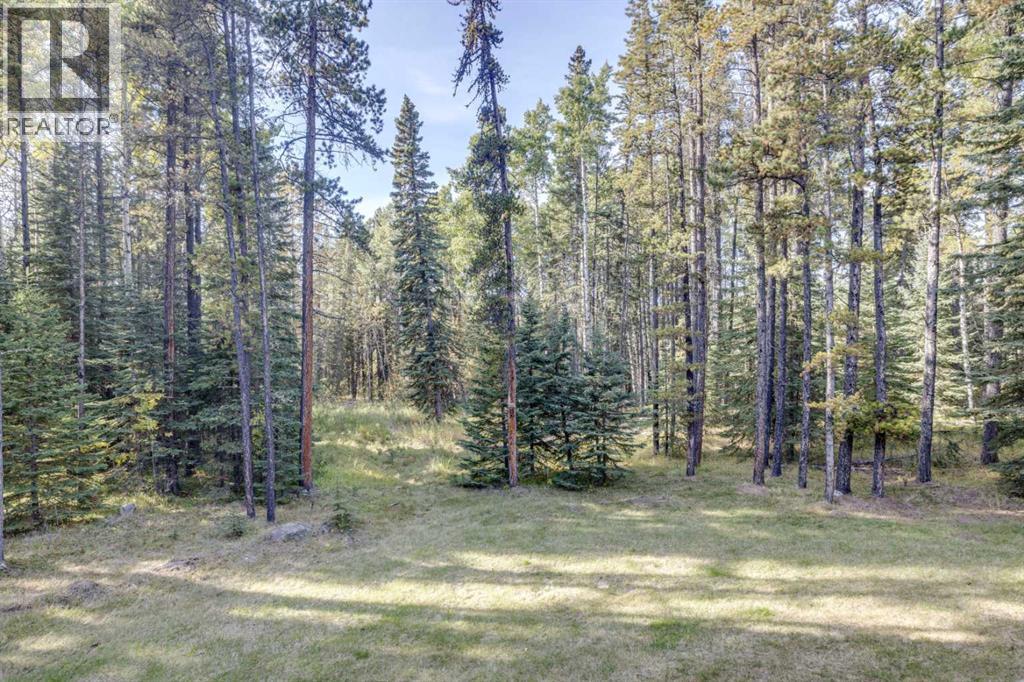 11 Elk Valley Gate, Bragg Creek, Alberta  T0L 0K0 - Photo 30 - A2345433