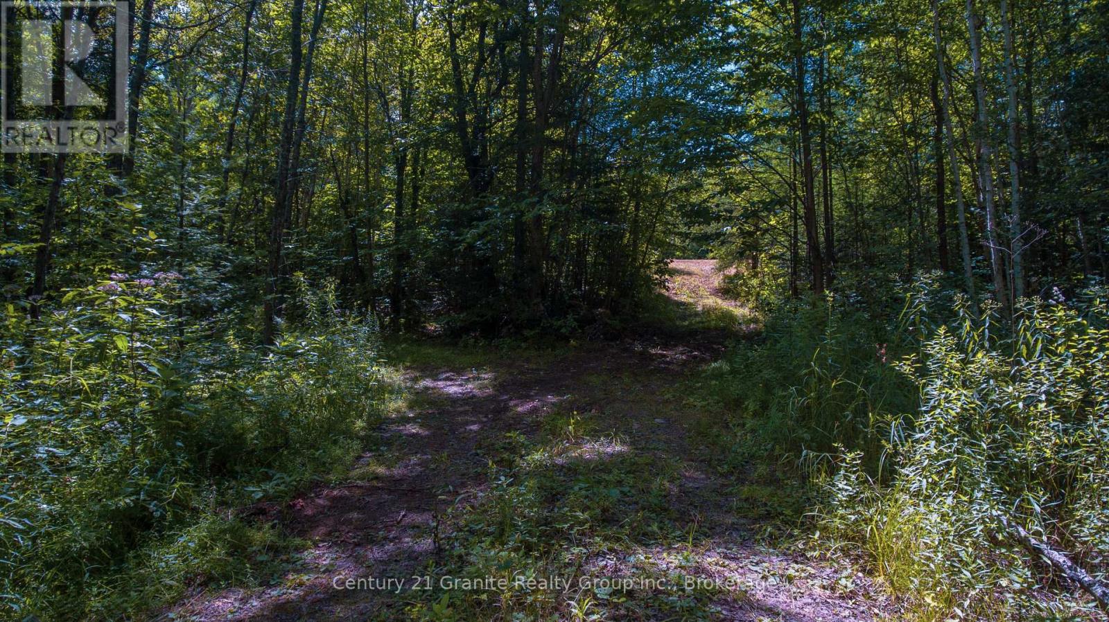 2368 Essonville Line Road, Highlands East, Ontario  K0L 3C0 - Photo 12 - X13809610
