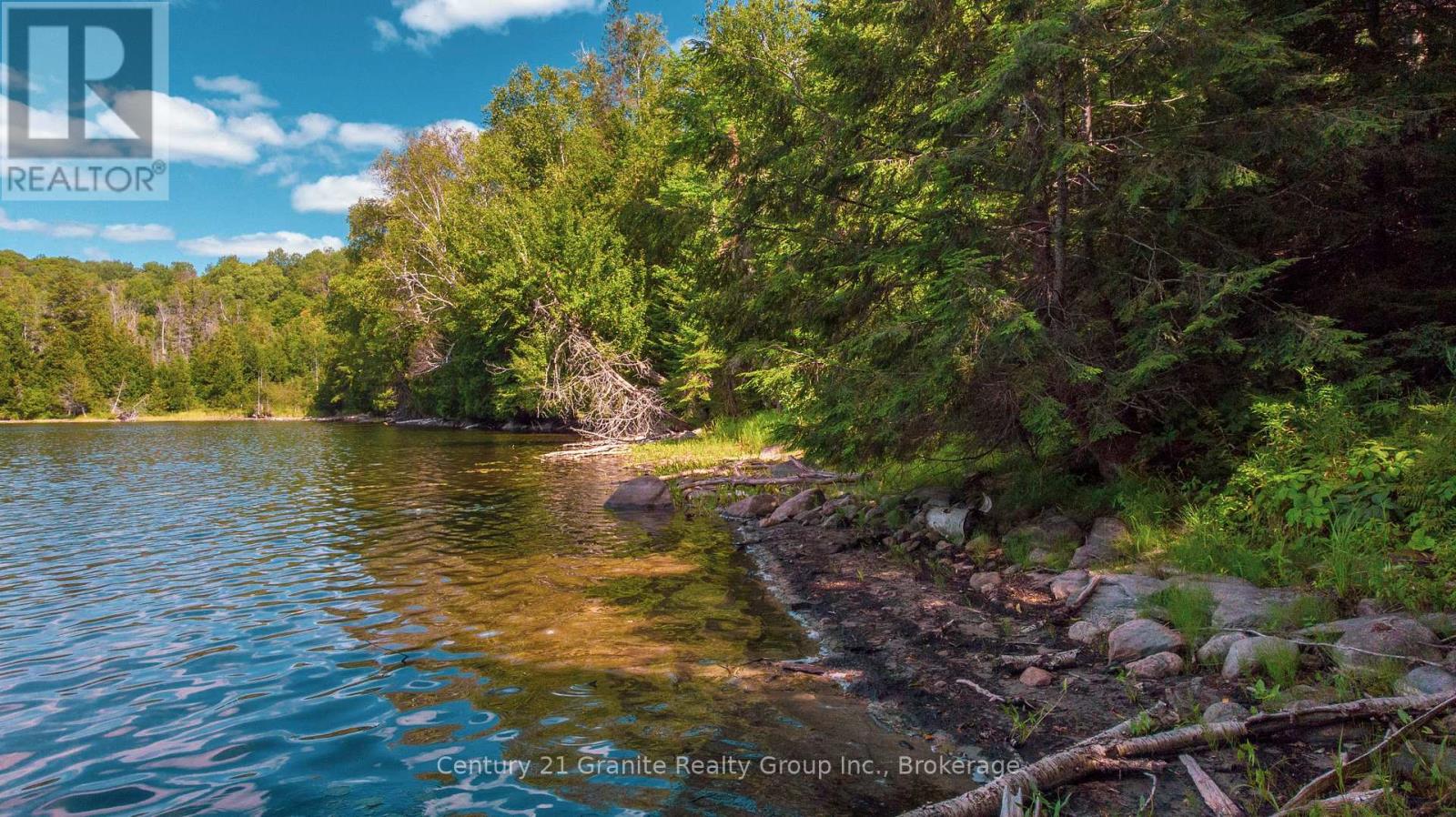 2368 Essonville Line Road, Highlands East, Ontario  K0L 3C0 - Photo 13 - X13809610