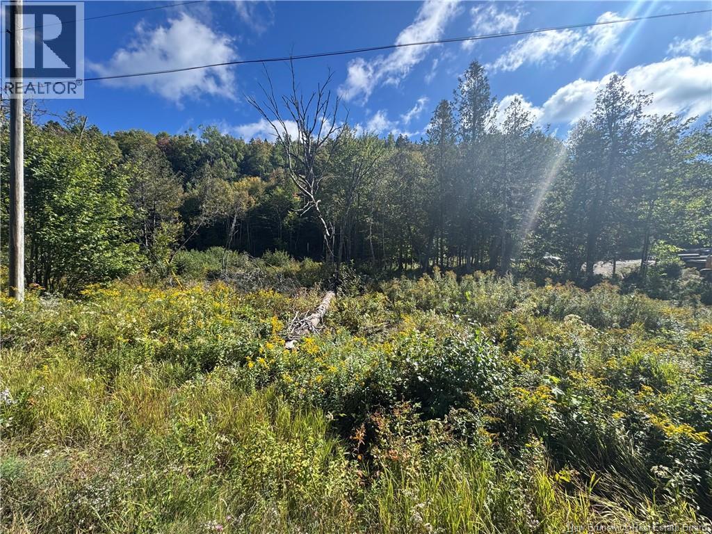 Frye Road, Chamcook, New Brunswick  E5B 0C4 - Photo 2 - NB148245