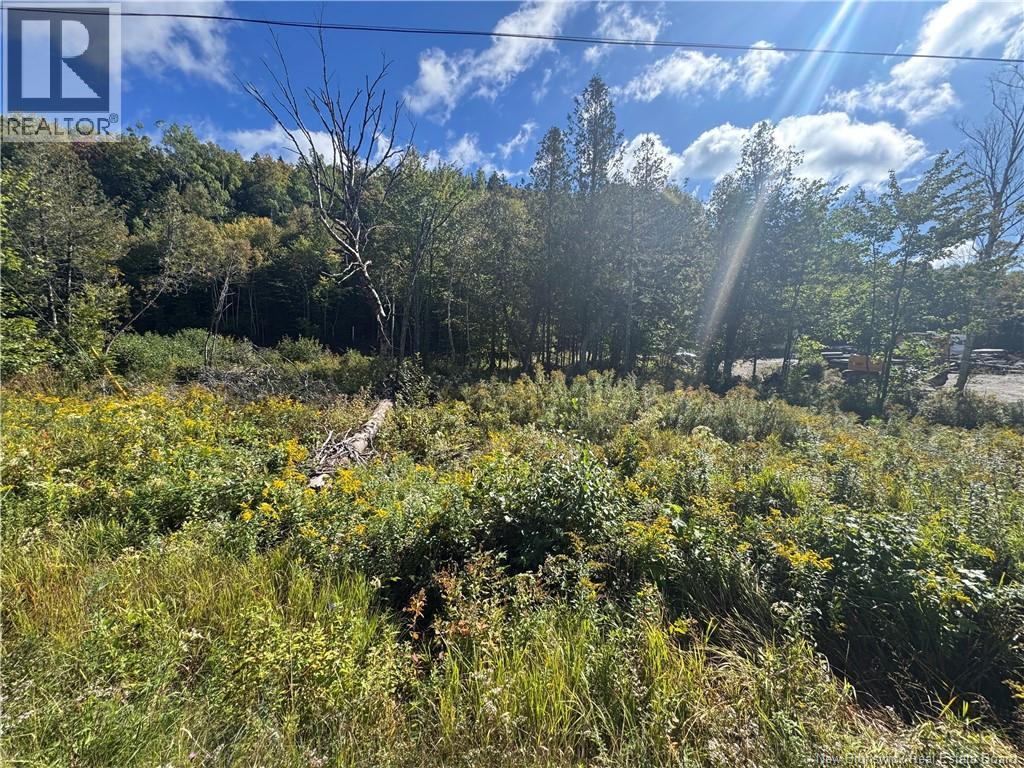 Frye Road, Chamcook, New Brunswick  E5B 0C4 - Photo 3 - NB148245