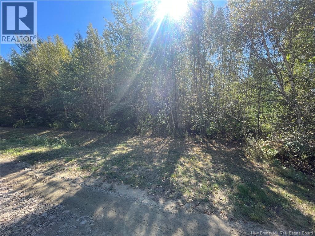Lot Maxime, Saint-Louis-De-Kent, New Brunswick  E4X 1W1 - Photo 3 - NB148269