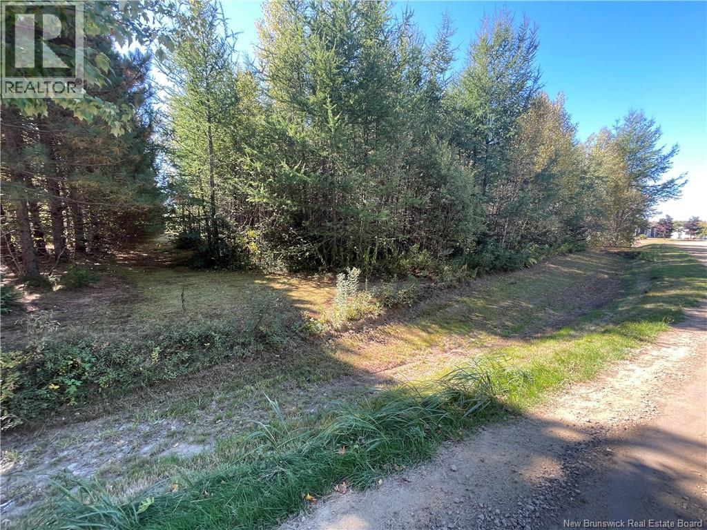 Lot Maxime, Saint-Louis-De-Kent, New Brunswick  E4X 1W1 - Photo 5 - NB148269
