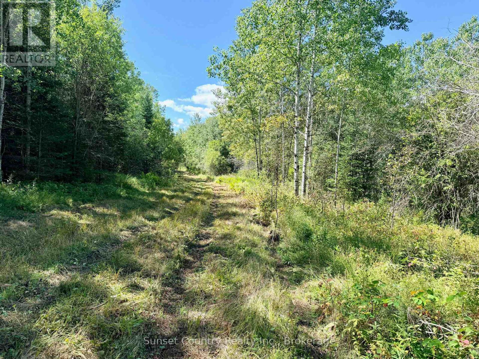 0 Wall Street W, Kenora Remote Area, Ontario  P0V 2J0 - Photo 1 - X13809716