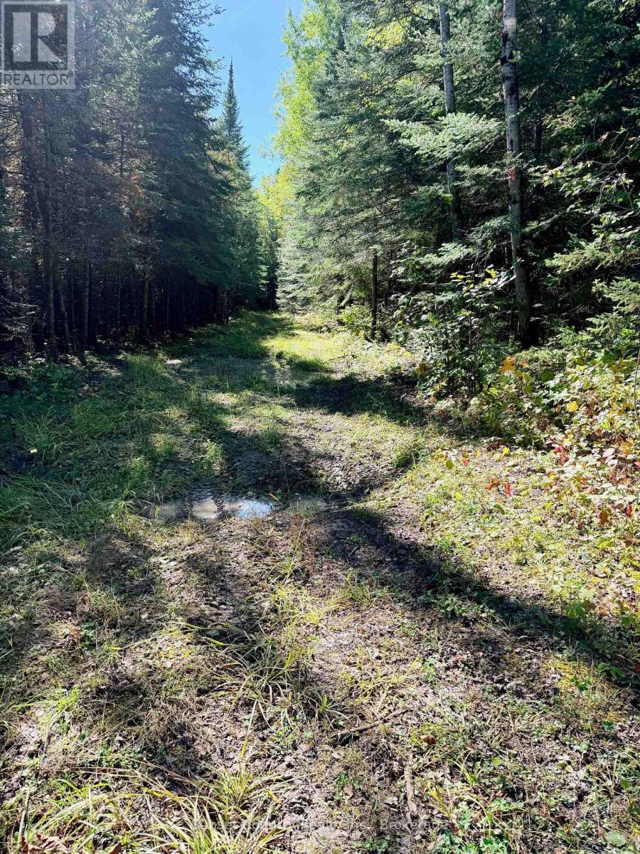 0 Wall Street W, Kenora Remote Area, Ontario  P0V 2J0 - Photo 16 - X13809716