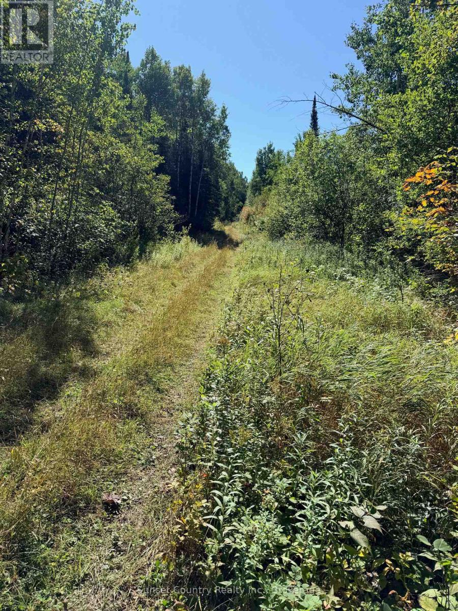 0 Wall Street W, Kenora Remote Area, Ontario  P0V 2J0 - Photo 18 - X13809716