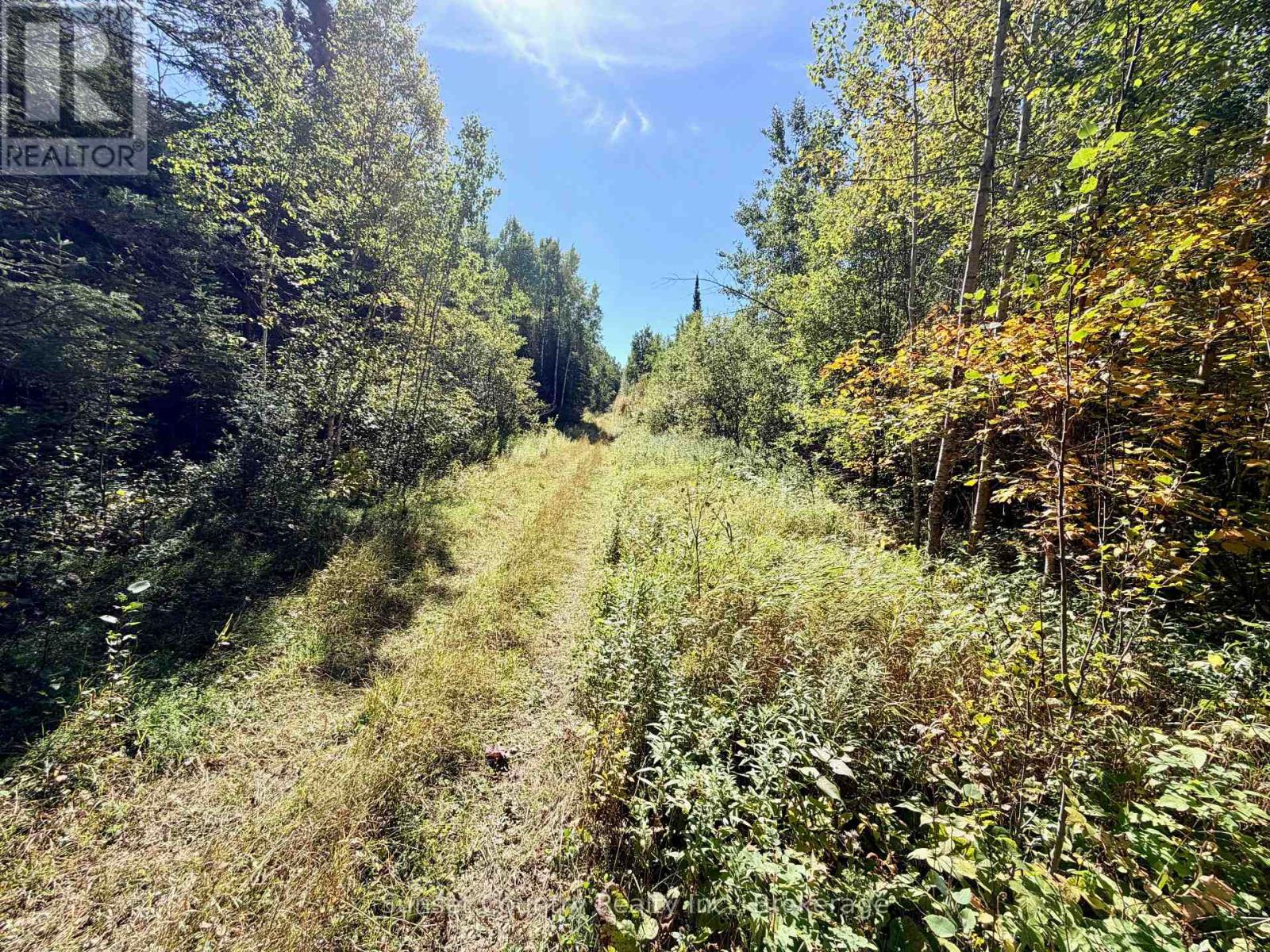 0 Wall Street W, Kenora Remote Area, Ontario  P0V 2J0 - Photo 20 - X13809716