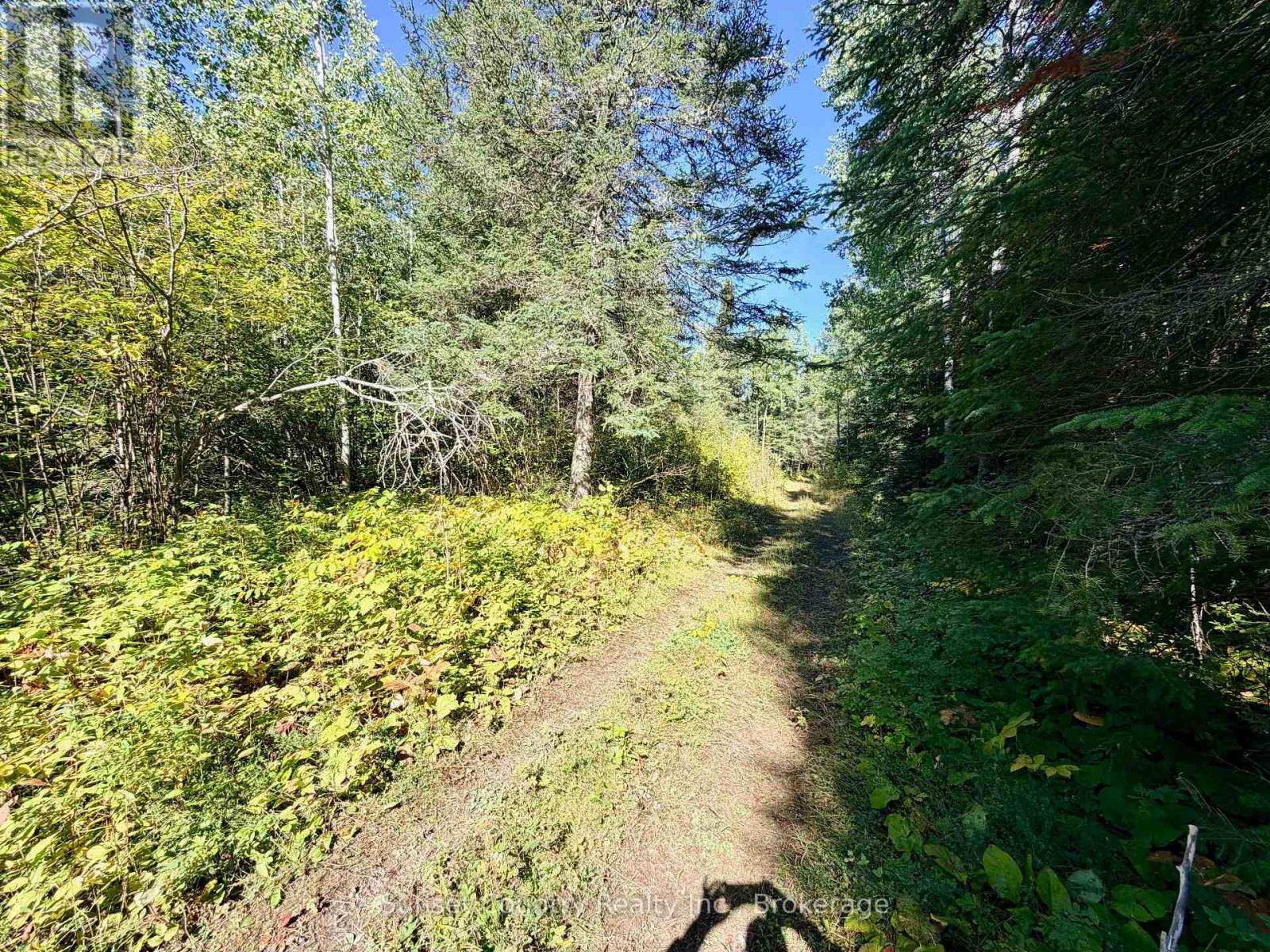 0 Wall Street W, Kenora Remote Area, Ontario  P0V 2J0 - Photo 21 - X13809716