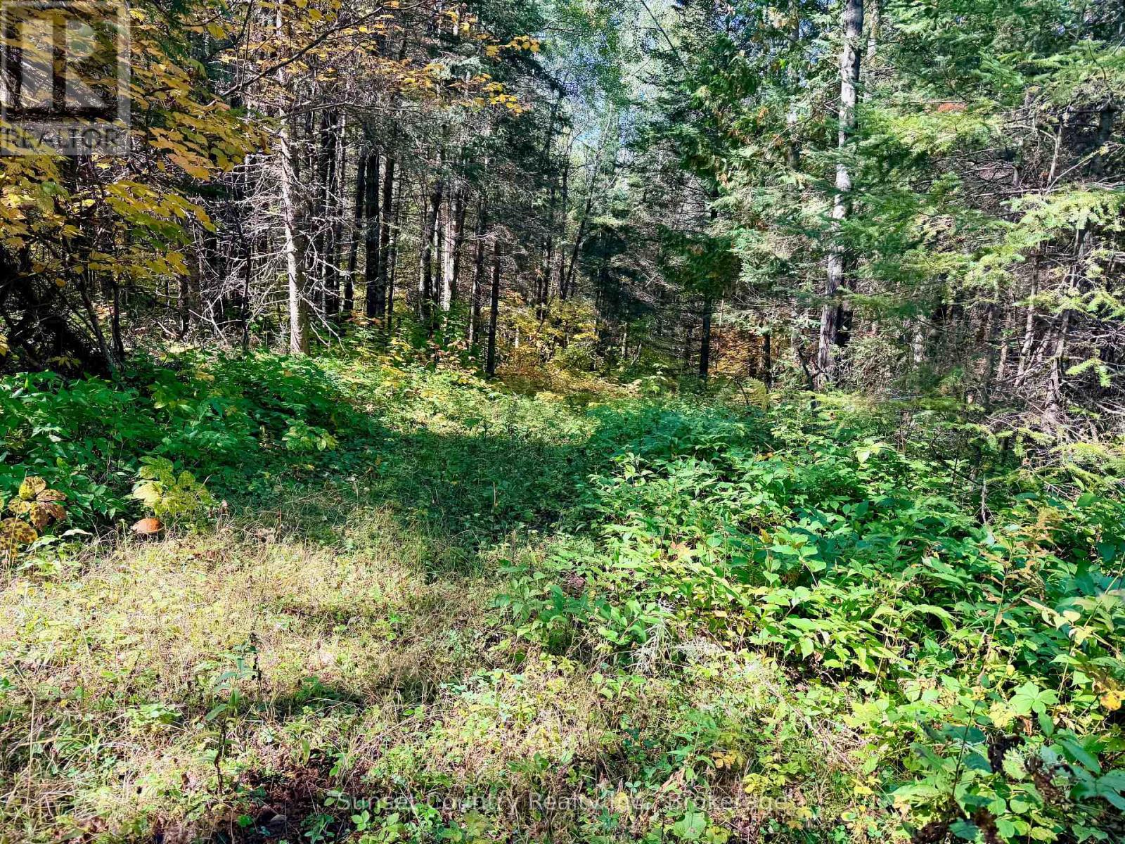 0 Wall Street W, Kenora Remote Area, Ontario  P0V 2J0 - Photo 22 - X13809716