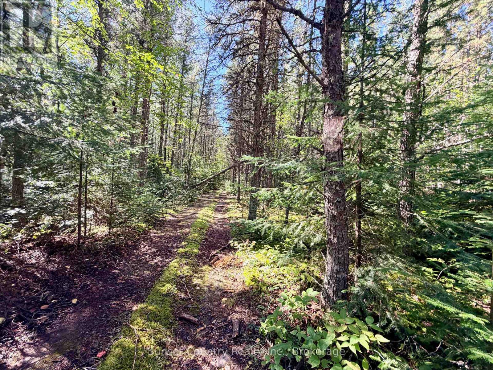0 Wall Street W, Kenora Remote Area, Ontario  P0V 2J0 - Photo 25 - X13809716