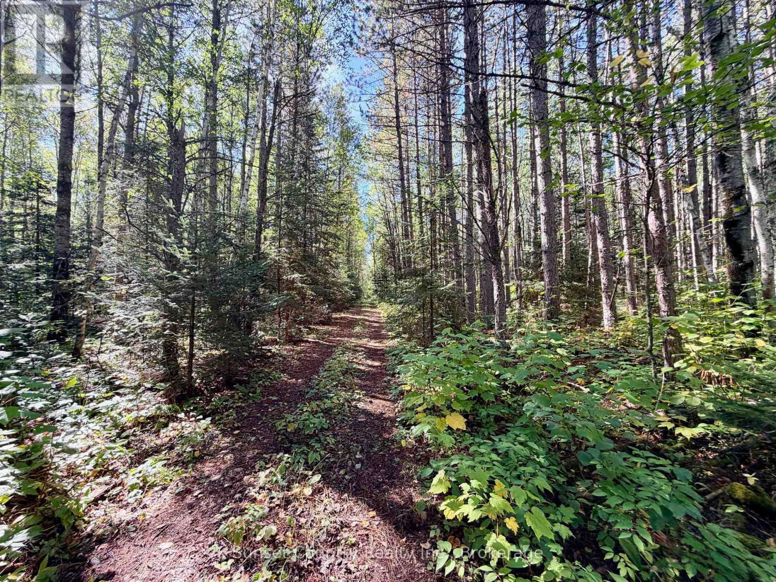 0 Wall Street W, Kenora Remote Area, Ontario  P0V 2J0 - Photo 26 - X13809716
