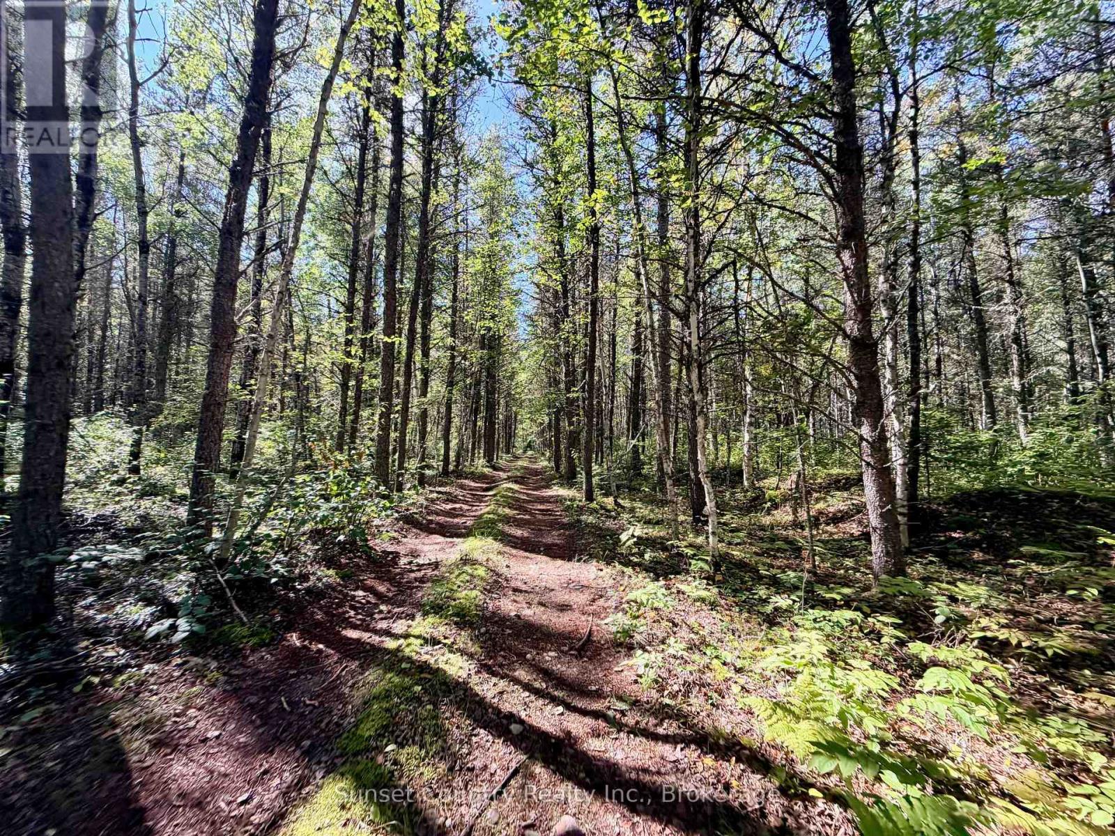 0 Wall Street W, Kenora Remote Area, Ontario  P0V 2J0 - Photo 27 - X13809716