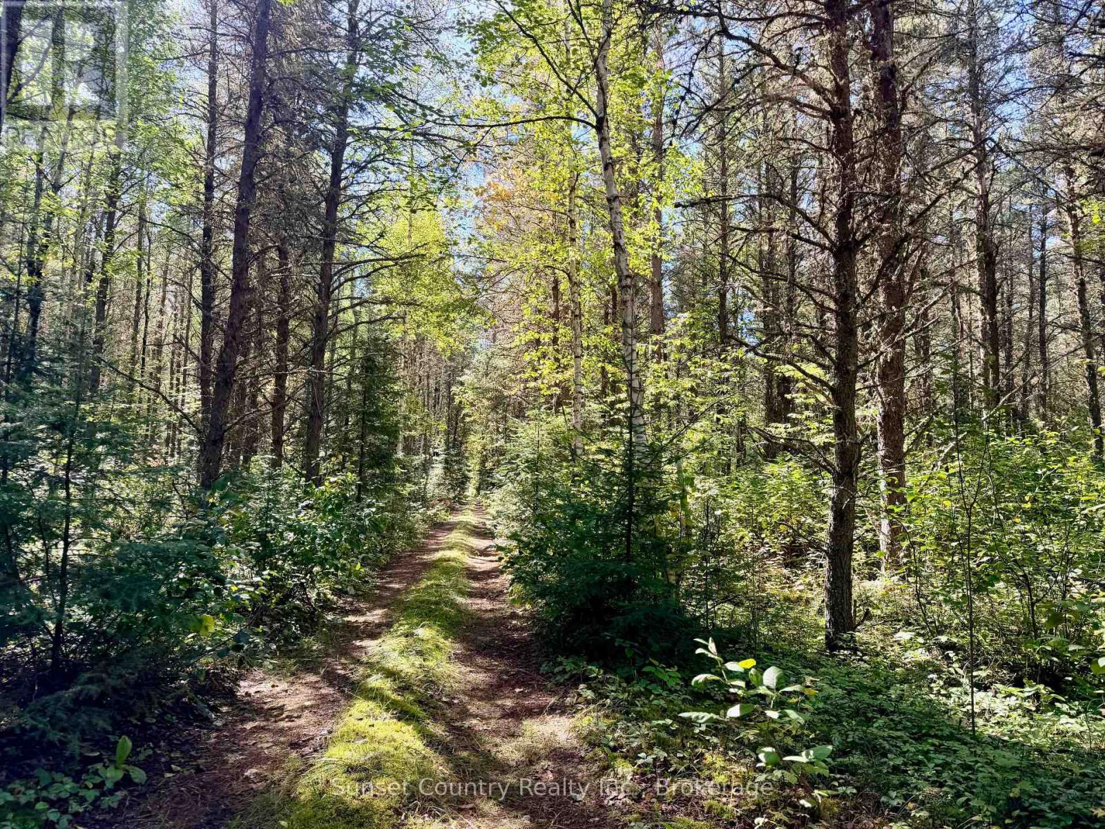 0 Wall Street W, Kenora Remote Area, Ontario  P0V 2J0 - Photo 28 - X13809716