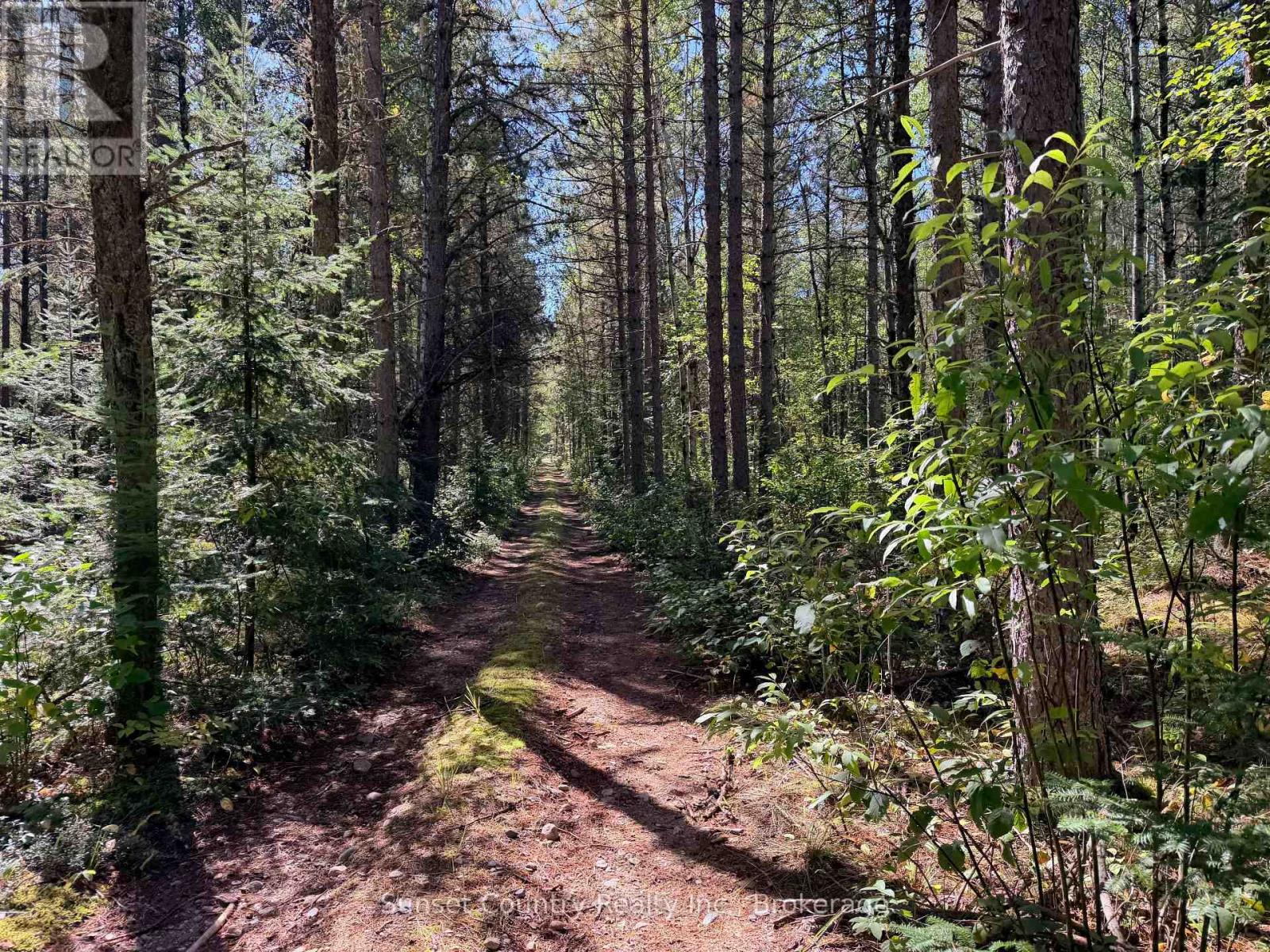 0 Wall Street W, Kenora Remote Area, Ontario  P0V 2J0 - Photo 29 - X13809716