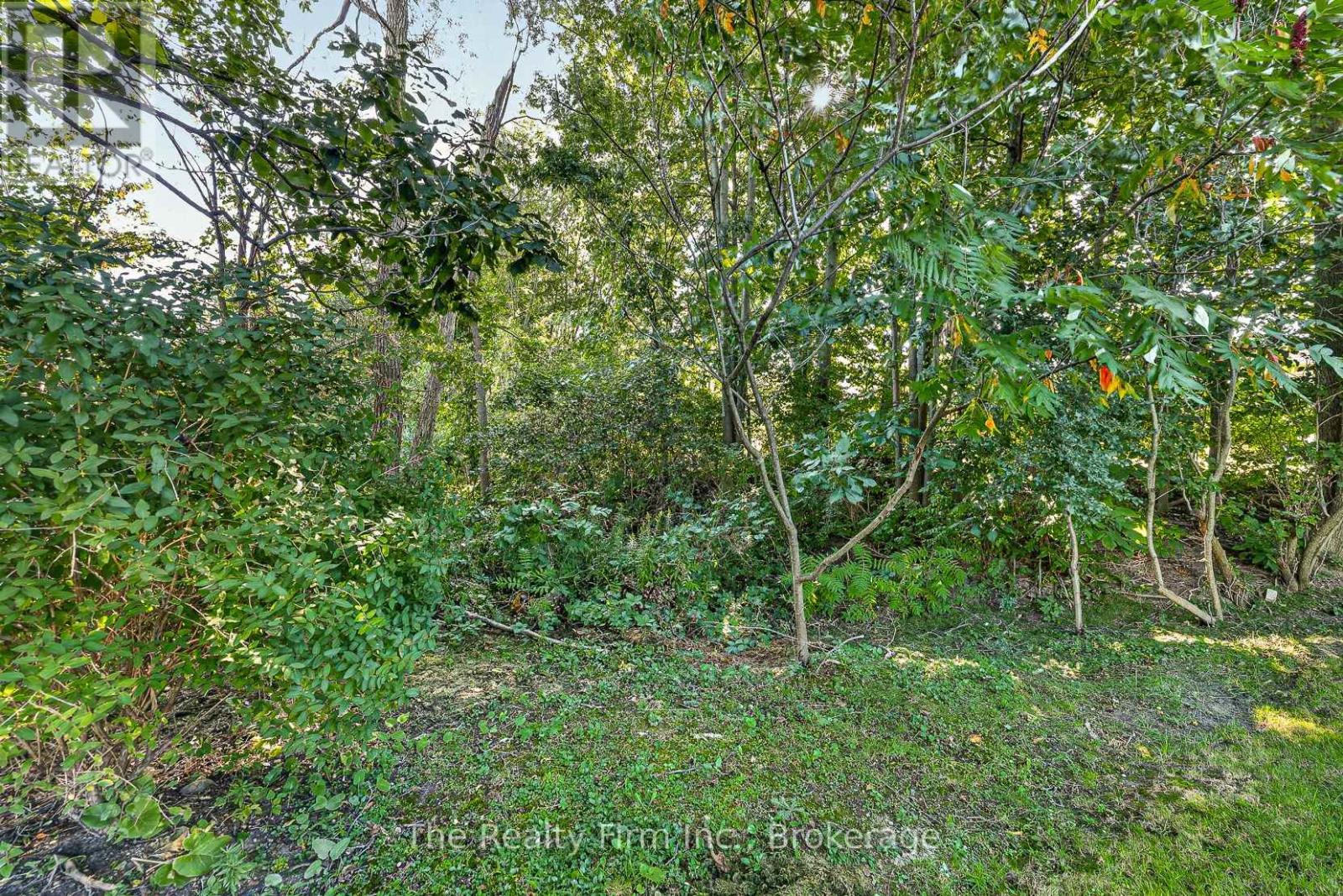 35 Beech Boulevard, Tillsonburg, Ontario  N4G 5R8 - Photo 36 - X13809826