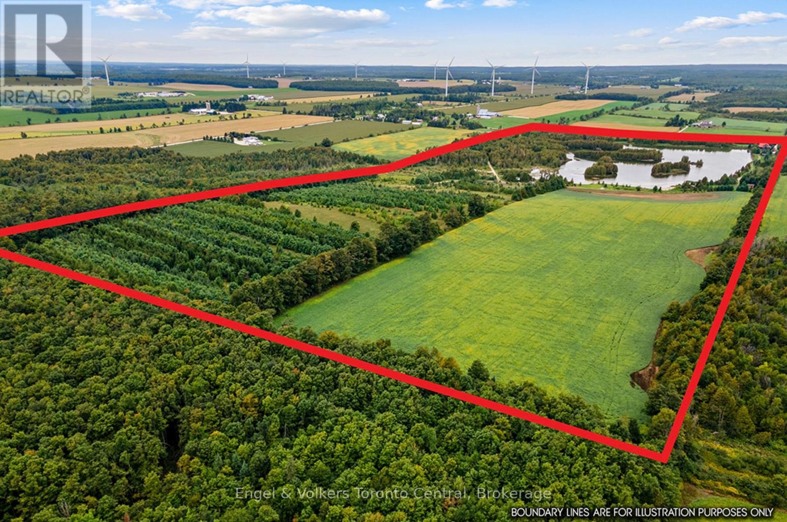 349502 4th B Concession, Grey Highlands, Ontario  N0C 1M0 - Photo 49 - X13809932