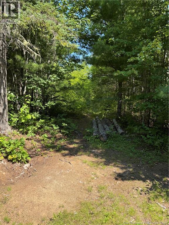 Camp Prosser Brook Road, Parkindale, New Brunswick  E4Z 2E5 - Photo 18 - NB145625