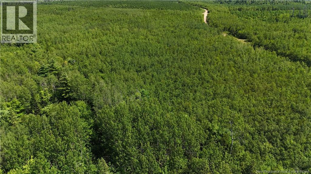 Camp Prosser Brook Road, Parkindale, New Brunswick  E4Z 2E5 - Photo 25 - NB145625