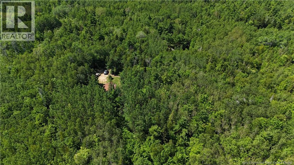 Camp Prosser Brook Road, Parkindale, New Brunswick  E4Z 2E5 - Photo 22 - NB145625