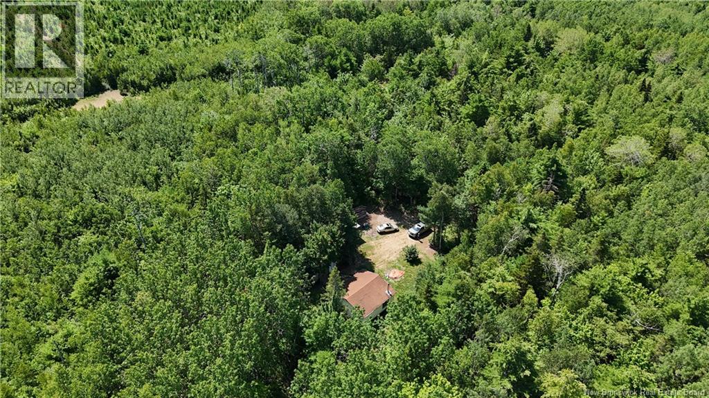 Camp Prosser Brook Road, Parkindale, New Brunswick  E4Z 2E5 - Photo 23 - NB145625