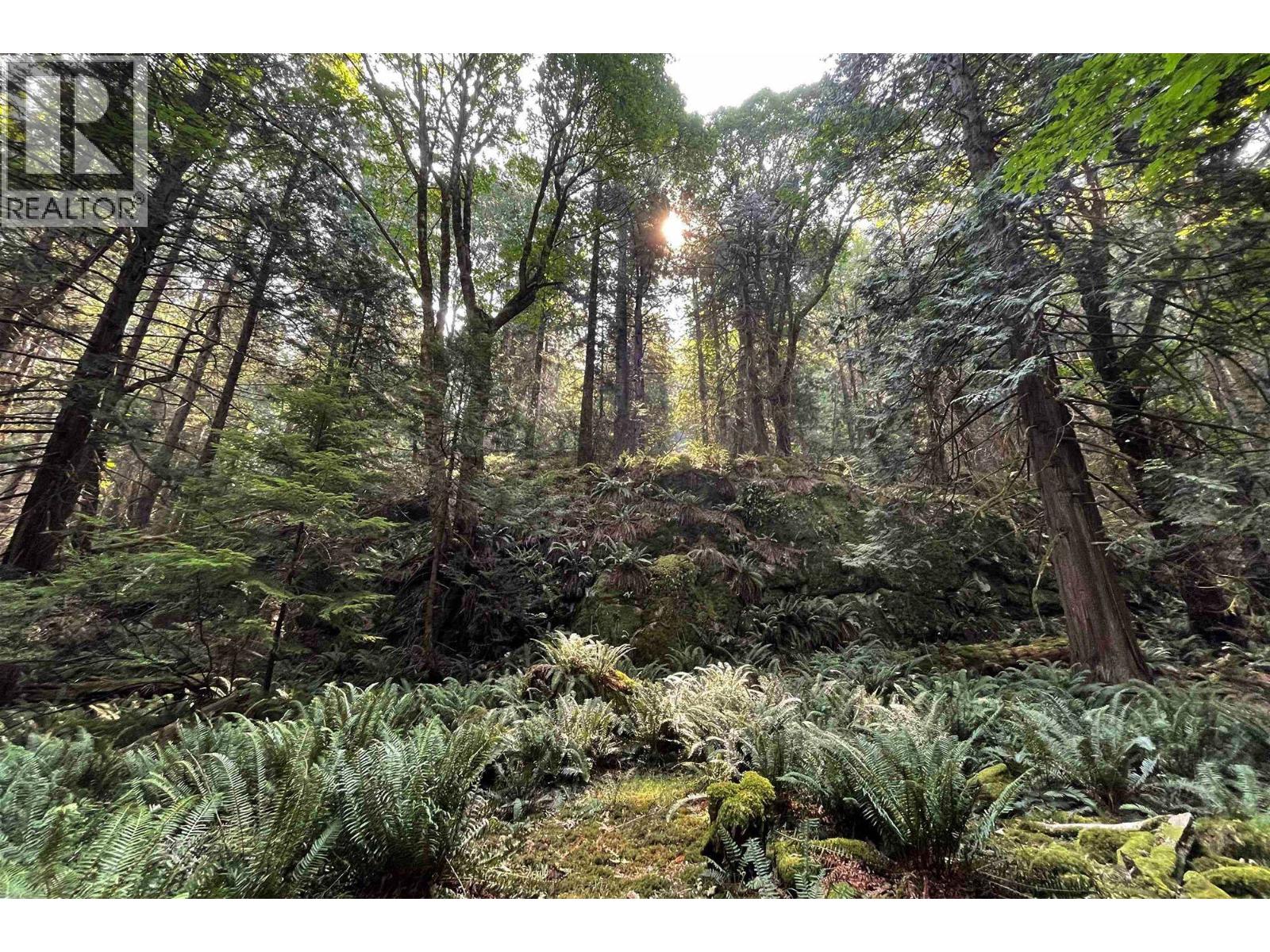 1558 Mount Gardner Road, Bowen Island, British Columbia  V0N 1G2 - Photo 27 - R3131792