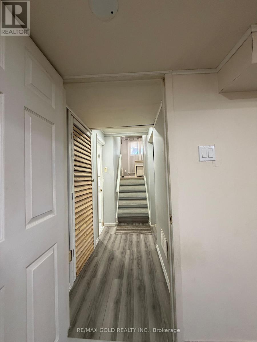 Basement - 38 Carter Drive, Brampton, Ontario  L6V 3N5 - Photo 16 - W13809776