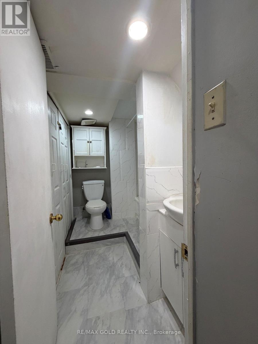 Basement - 38 Carter Drive, Brampton, Ontario  L6V 3N5 - Photo 17 - W13809776