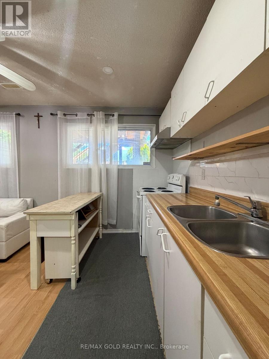 Basement - 38 Carter Drive, Brampton, Ontario  L6V 3N5 - Photo 4 - W13809776