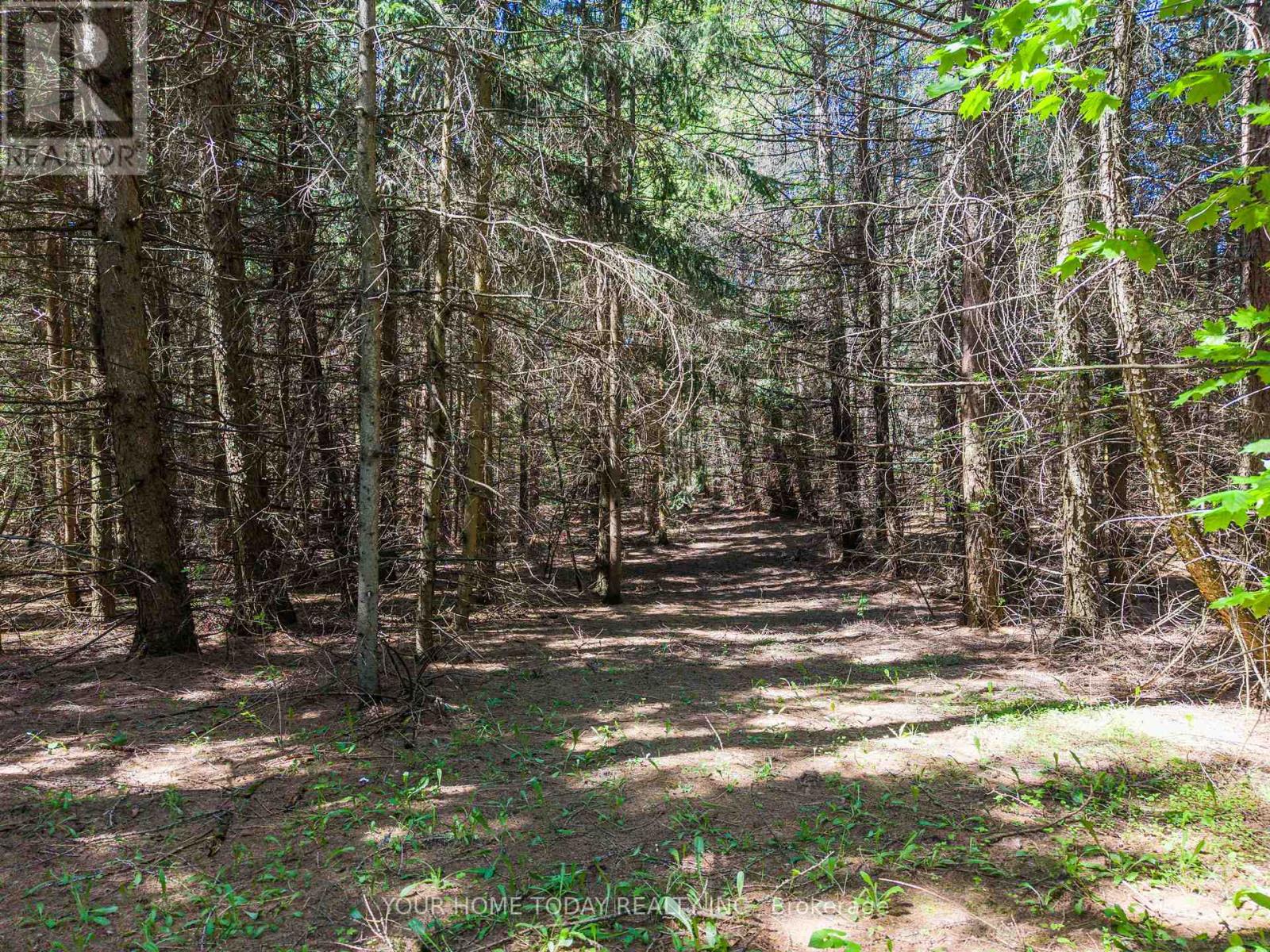 5214 Tenth Line, Erin, Ontario  N0B 1T0 - Photo 39 - X13809822